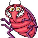 Top Ten Pests in South Africa and The Tell Tale Signs They’ve Invaded Your Home