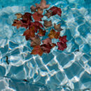 Tips on Autumn Swimming Pool Maintenance