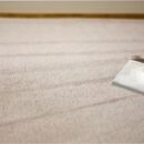 Carpet Cleaning Tips