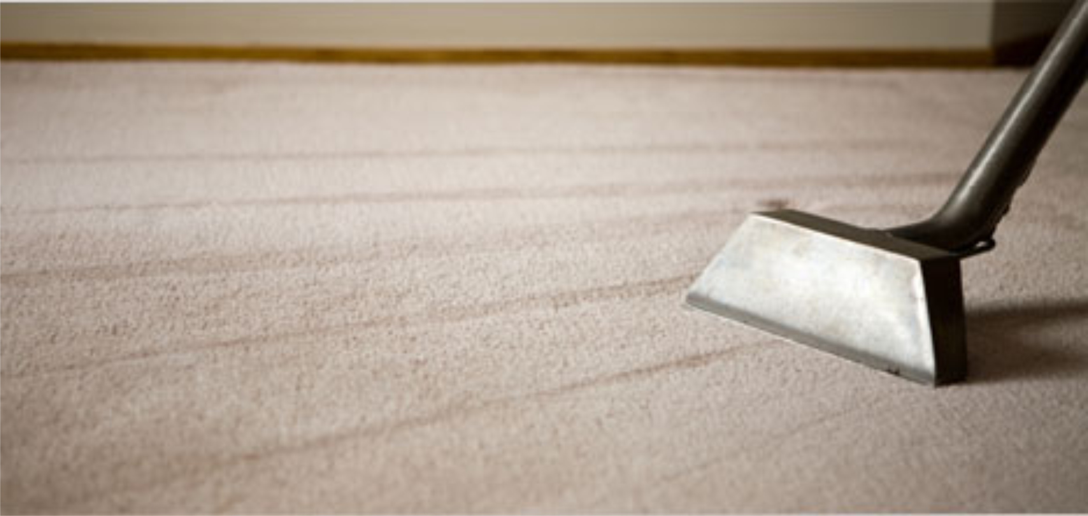 Your House Helper Carpet Cleaning Tips