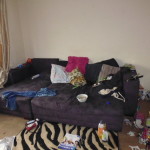 house cleaning tips from pros