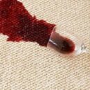 Steam or Dry Cleaning? Which Method is Better for Your Carpets