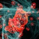 Take a Sigh of Relief and Pure and Clean Air with Ozone Bad Odor Removal Treatment