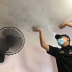 mold removal Singapore